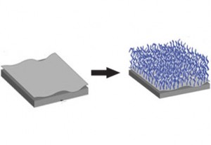 فرش‌های پلیمری؛ گروه جدیدی از نانو مواد در سیستم‌های نانوالکترومکانیکی و میکروالکترومکانیکی