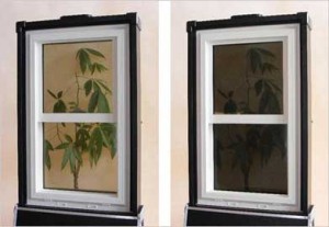 پنجره های هوشمندی که با تغییر آب و هوا مات و شفاف می شوند