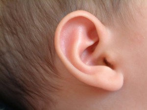 ساخت گوش مصنوعی با ظاهر و کارکردی شبیه به گوش واقعی انسان