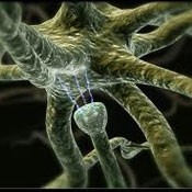 سیناپسی از جنس نانولوله کربنی با منطق و یادگیری پویا