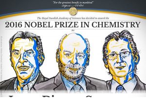 اعلام برندگان جایزه نوبل شیمی 2016